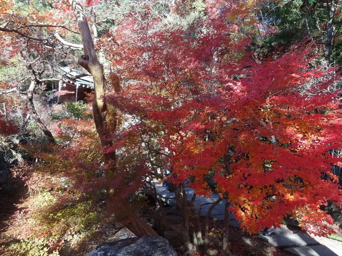 画像27