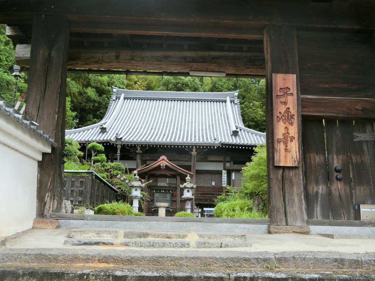 画像6