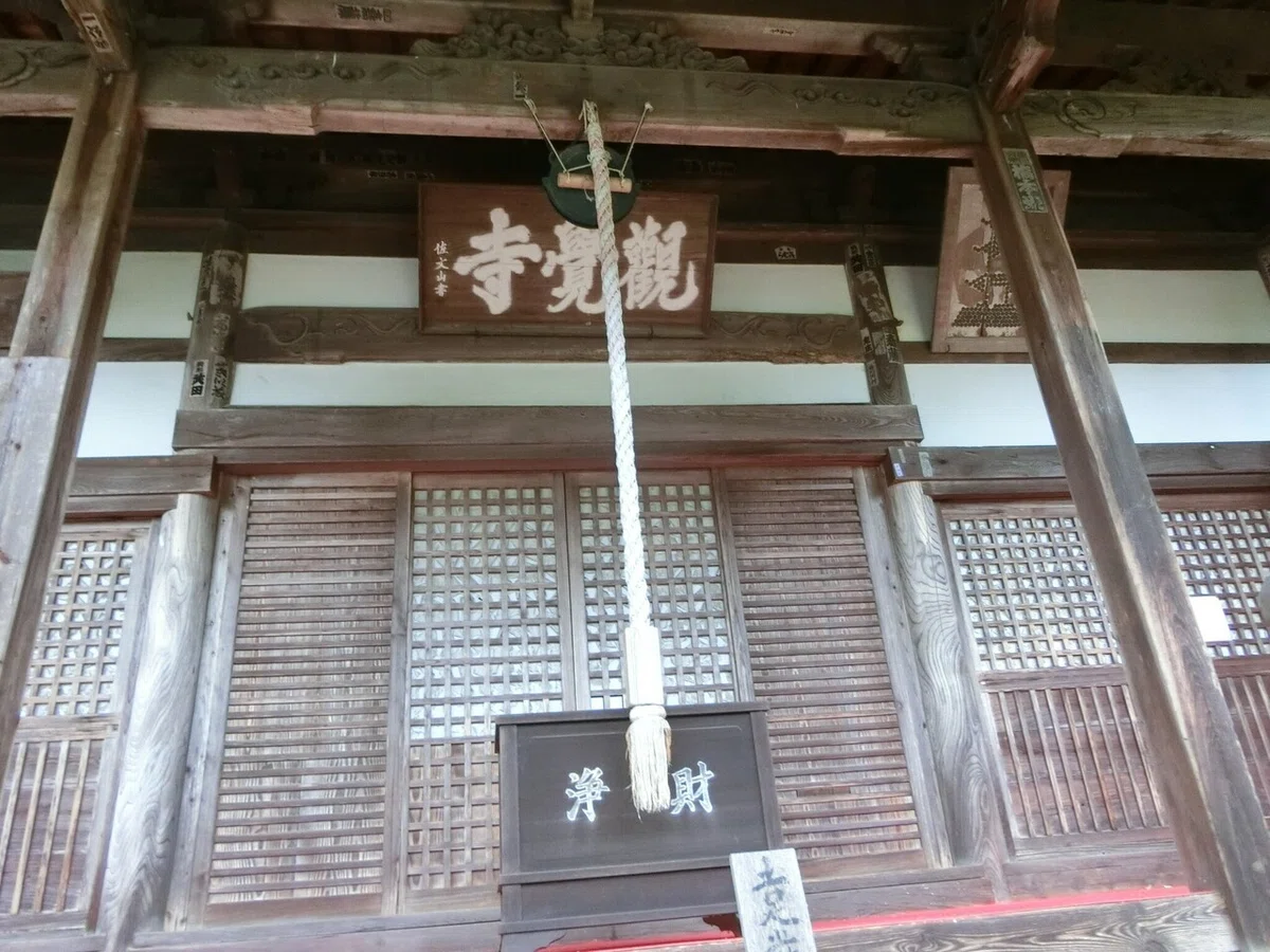画像7