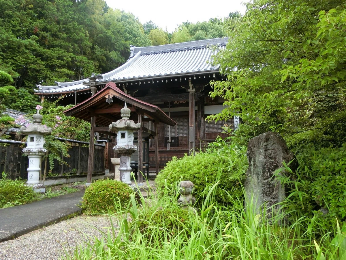 画像8
