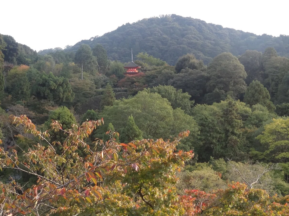画像16