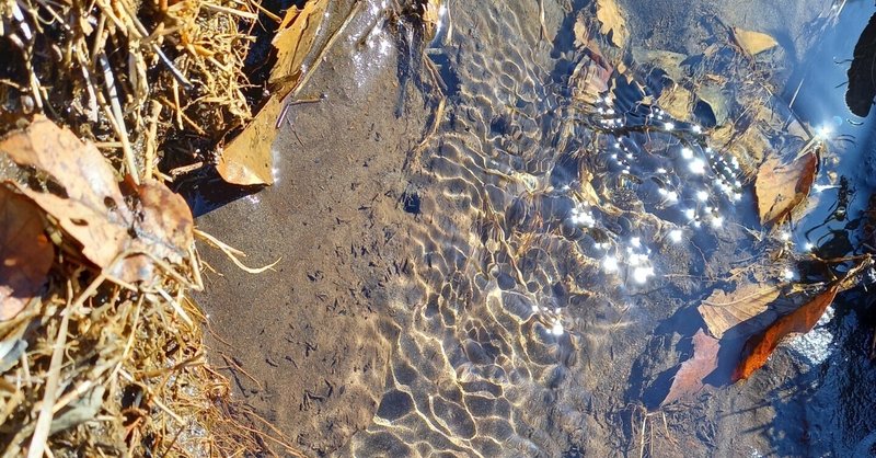 私の新生活は３月から始まる。～４年間、おつかれさま～