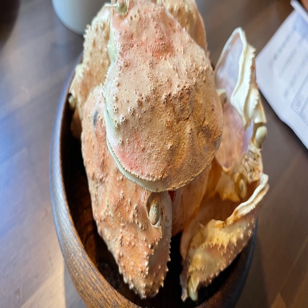 カニの甲羅を集めて工作の材料に｜Noriaki Kawanishi