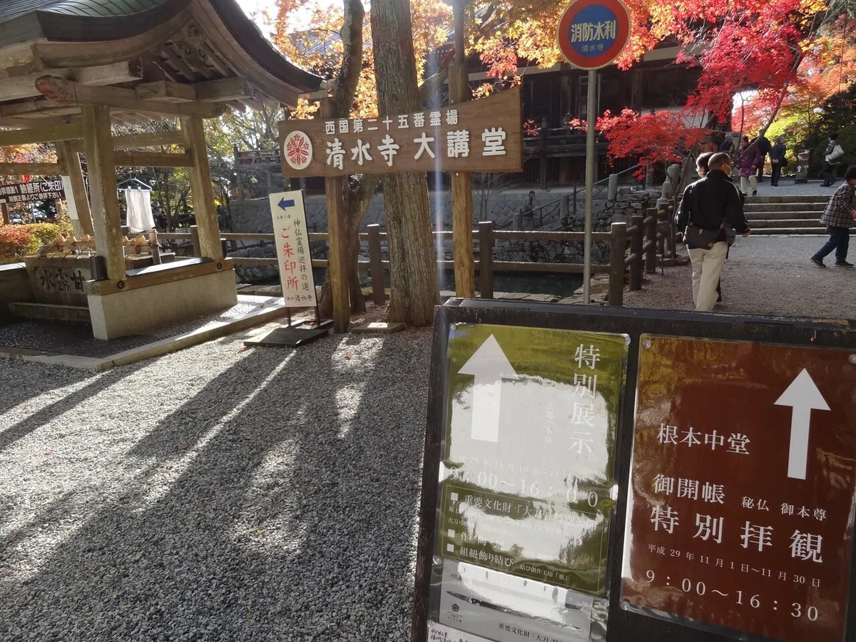 画像47