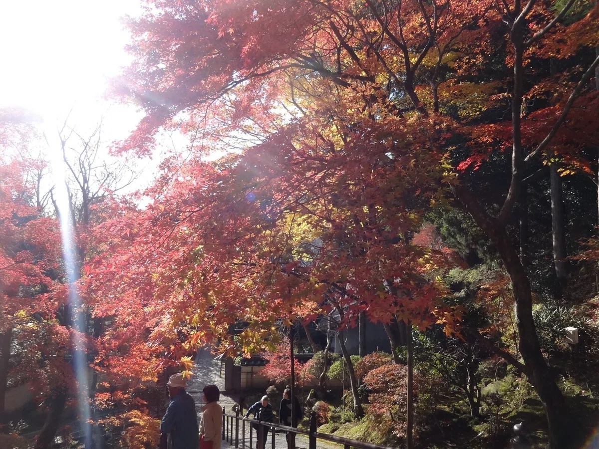 画像49