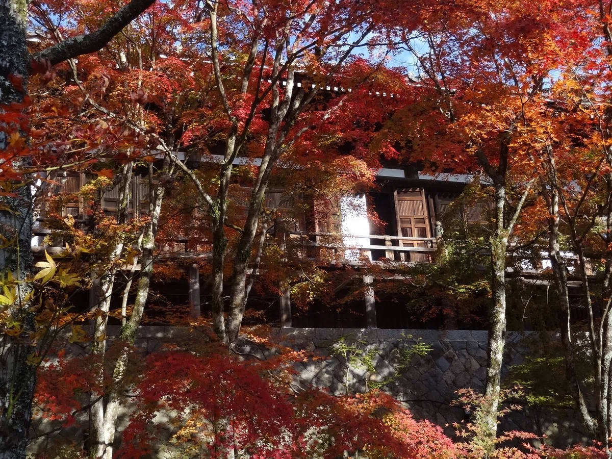 画像52