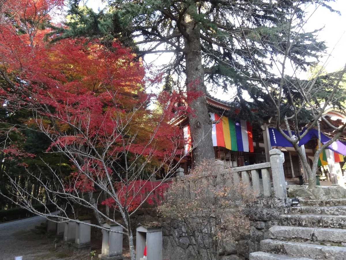 画像59