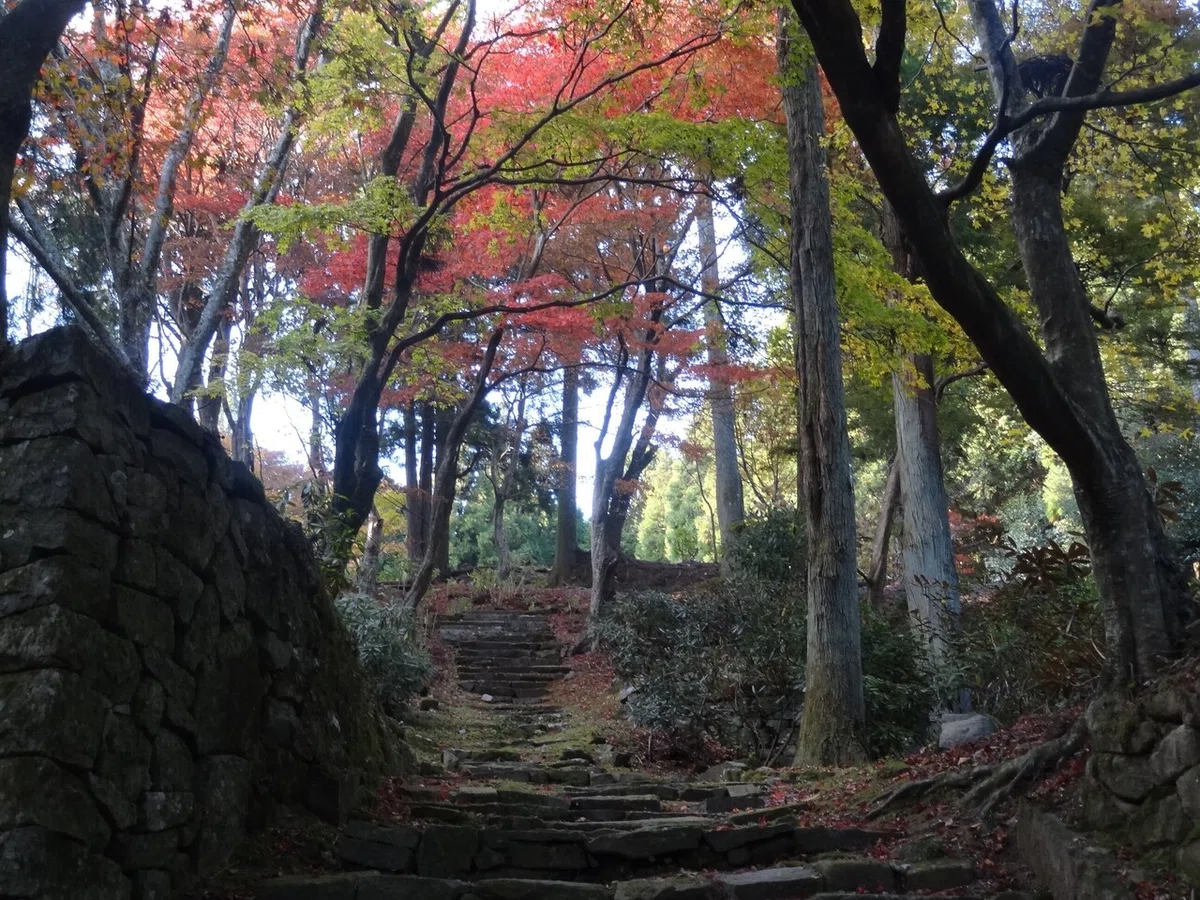 画像61
