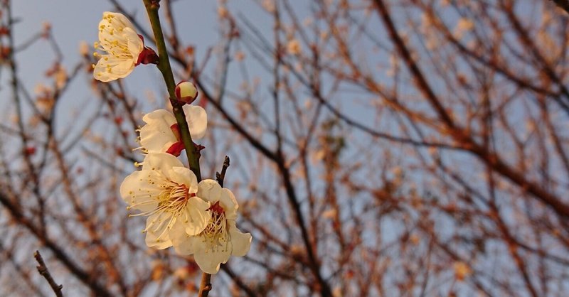 価値のない価値感の話