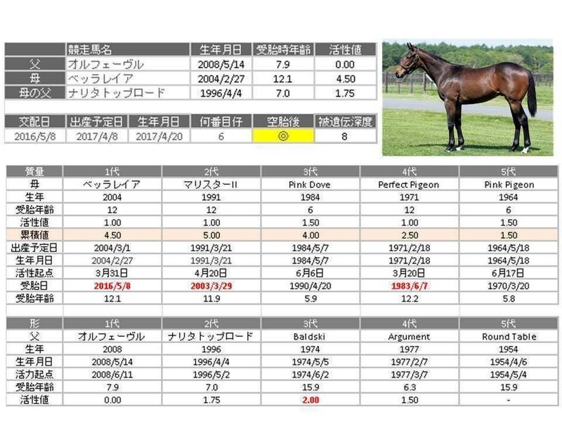 シルク ベッラレイアの17 血統考察 もっけだのん Note シルク ベッラレイアの17 血統考察 もっけだのん Note