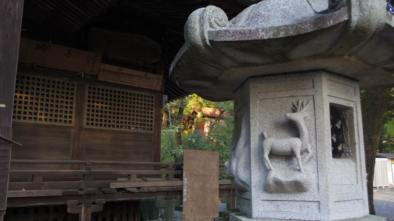 5 7 自分なりの 春 の楽しみ方 空を覆う桜並木といにしえの証 阿豆佐味天神社 瑞穂町 西多摩 探してみnut S Note