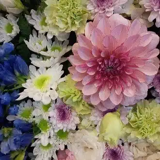 斉藤フローラ