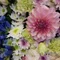 斉藤フローラ