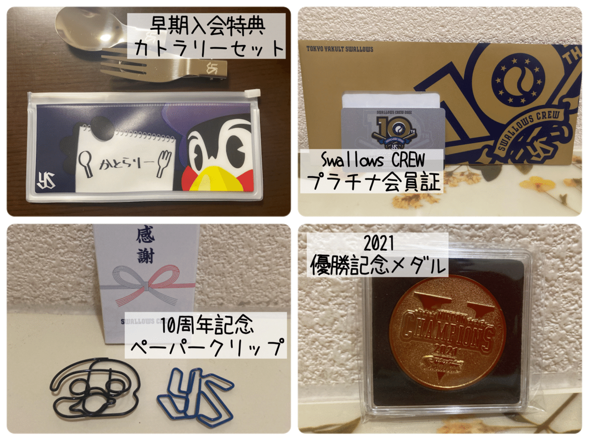 ヤクルトスワローズ CREW プラチナ会員入会特典 SWALLOWS CREW 2025