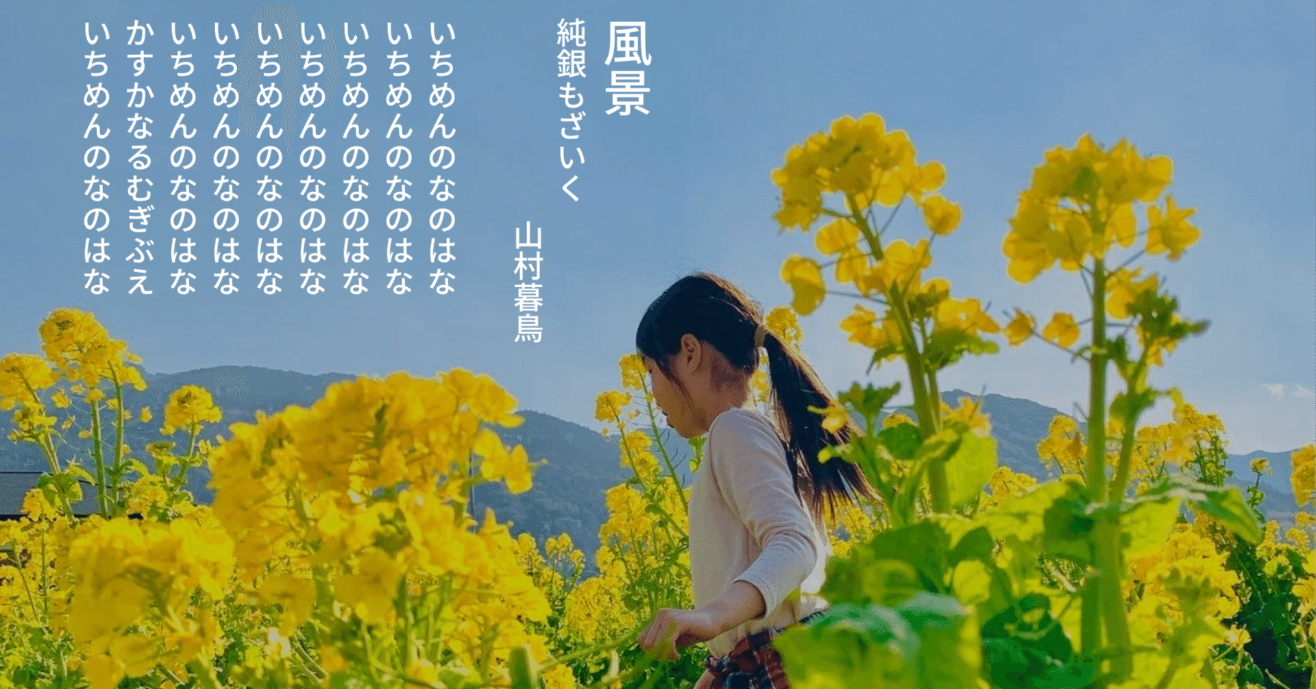 いちめんのなのはな　「日本の詩歌」　中央公論社 いちめんのなのはな