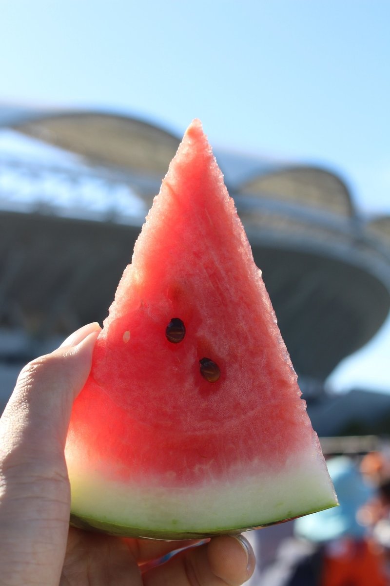 甘みとみずみずしさいっぱい 今が旬 新潟県南魚沼市の八色スイカ 八色スイカまつり も8月10日まで開催中 こば Note