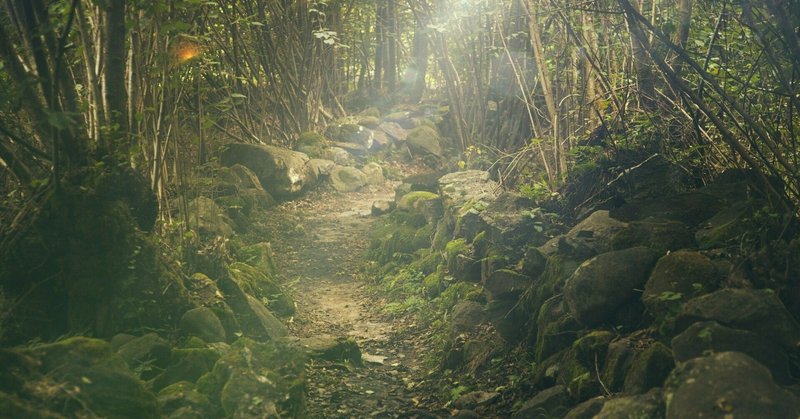 天童荒太 の新着タグ記事一覧 Note つくる つながる とどける