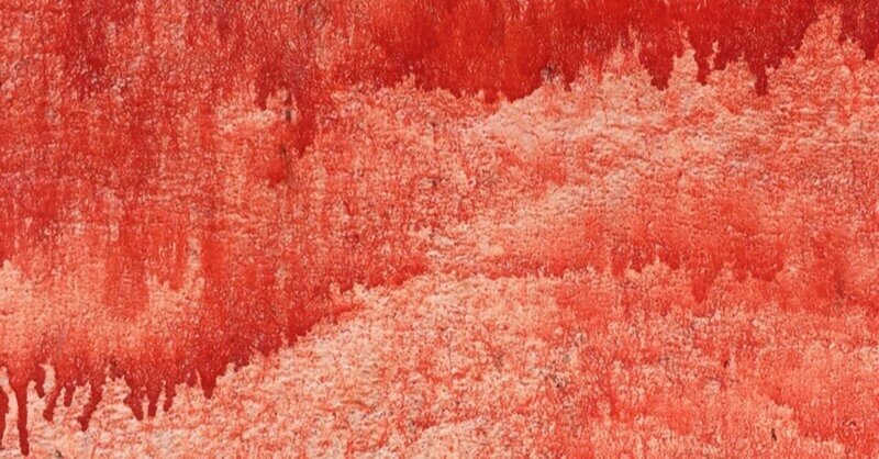 赤い壁@kathmandu