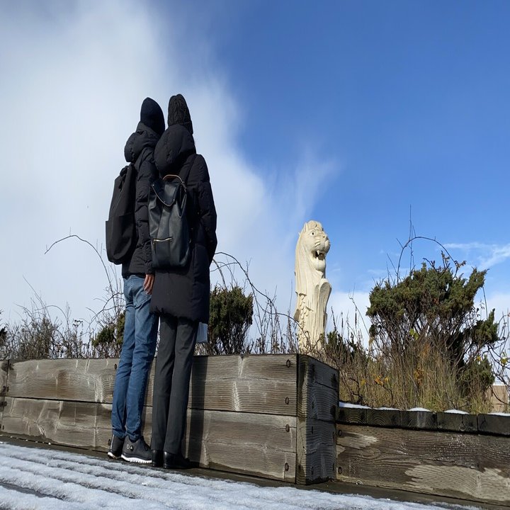 19年版 図解で簡単 シンガポールのマーライオンツアー チョビッター Note