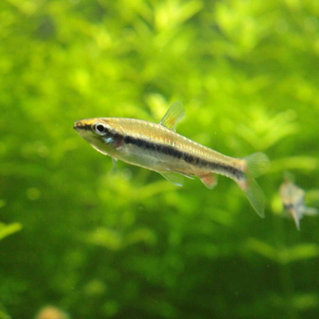 移動する鏡と対面する 君島大空×西田修大 ｜小林思考帳