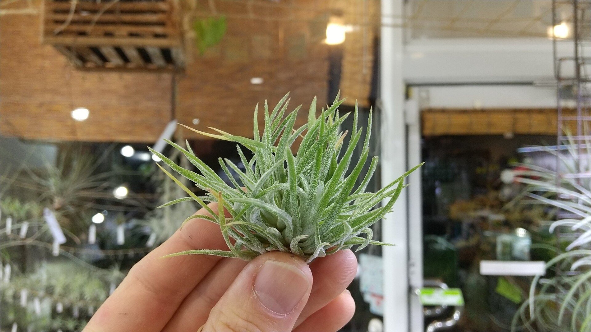 15f446d629f66e03e36c00e4ae21c8