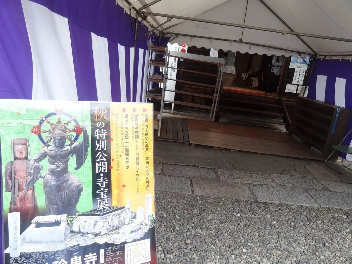 画像8