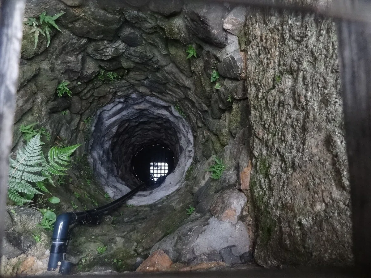 画像12