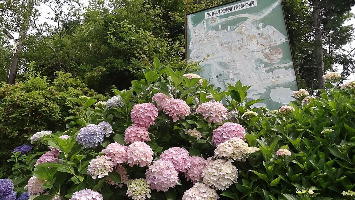 画像18