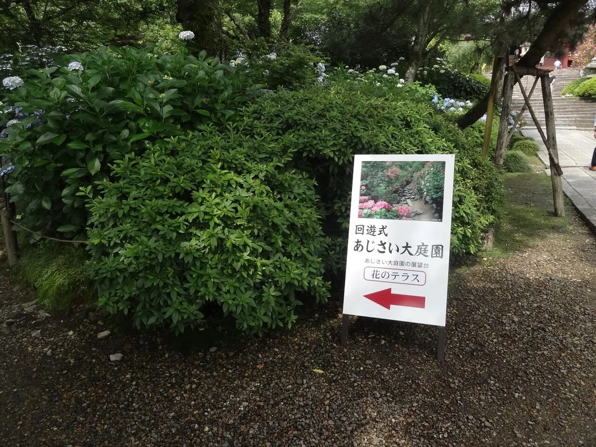 画像23