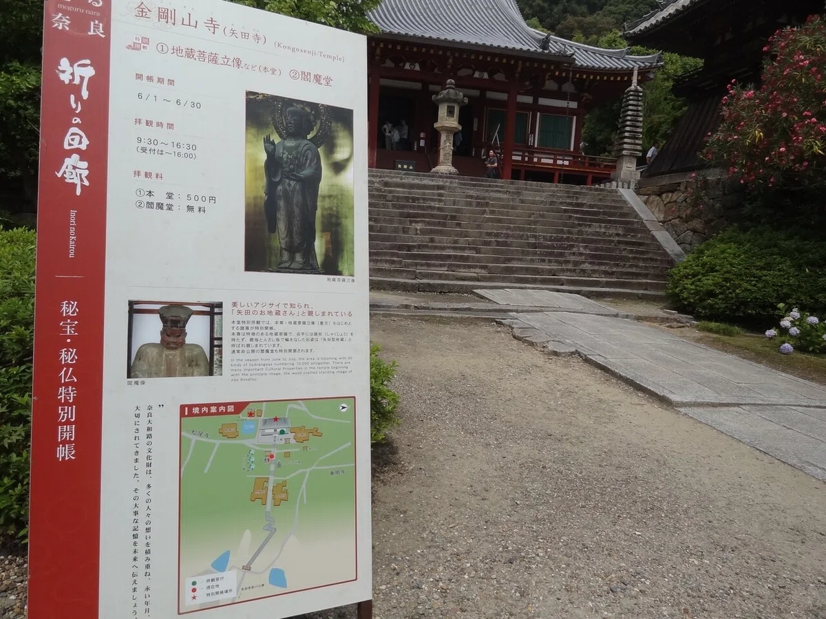 画像27