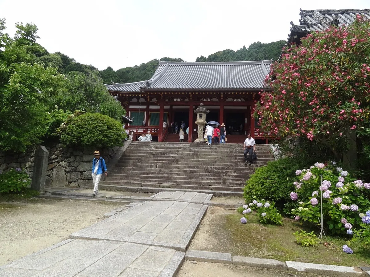 画像28