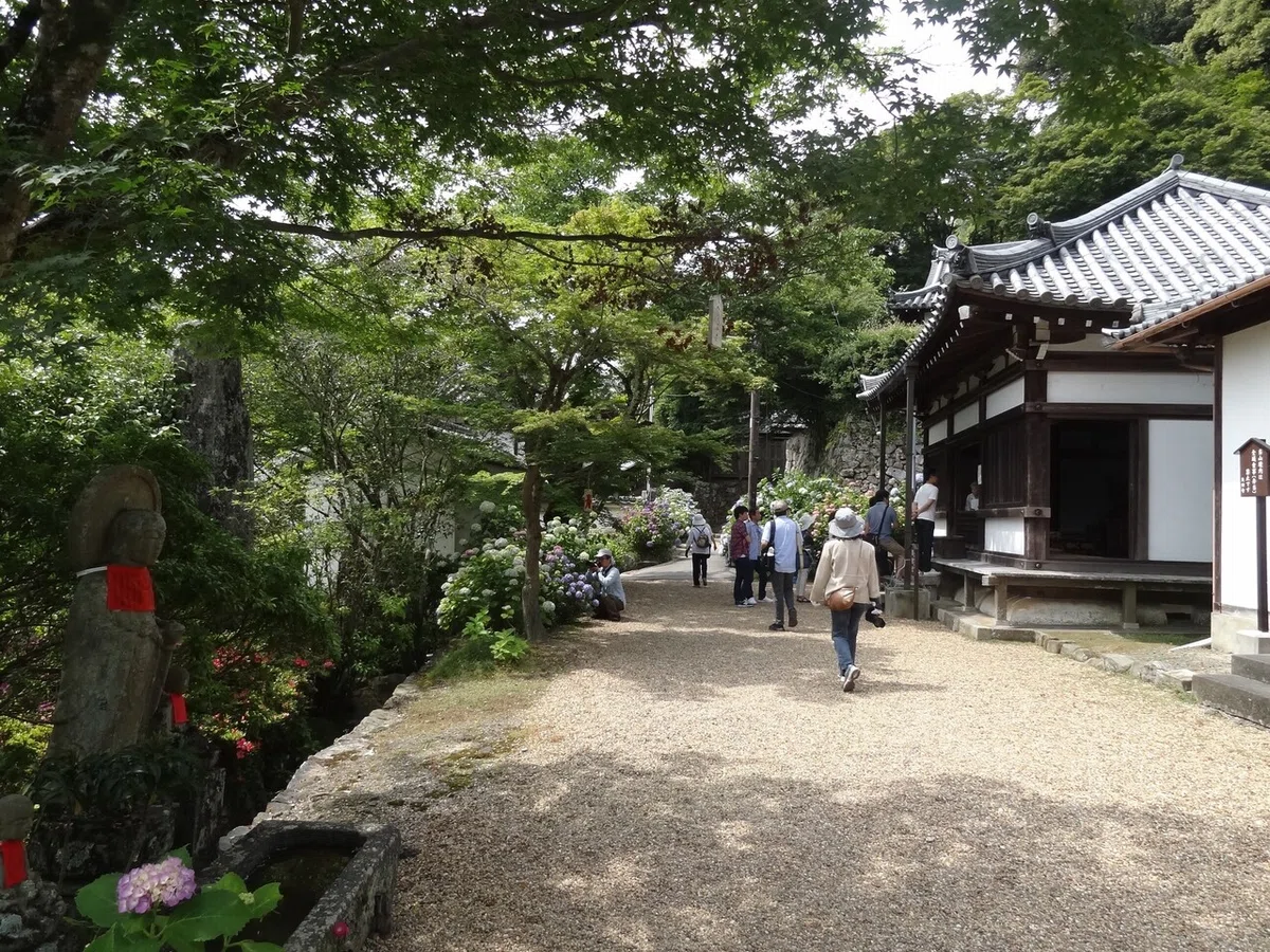 画像29