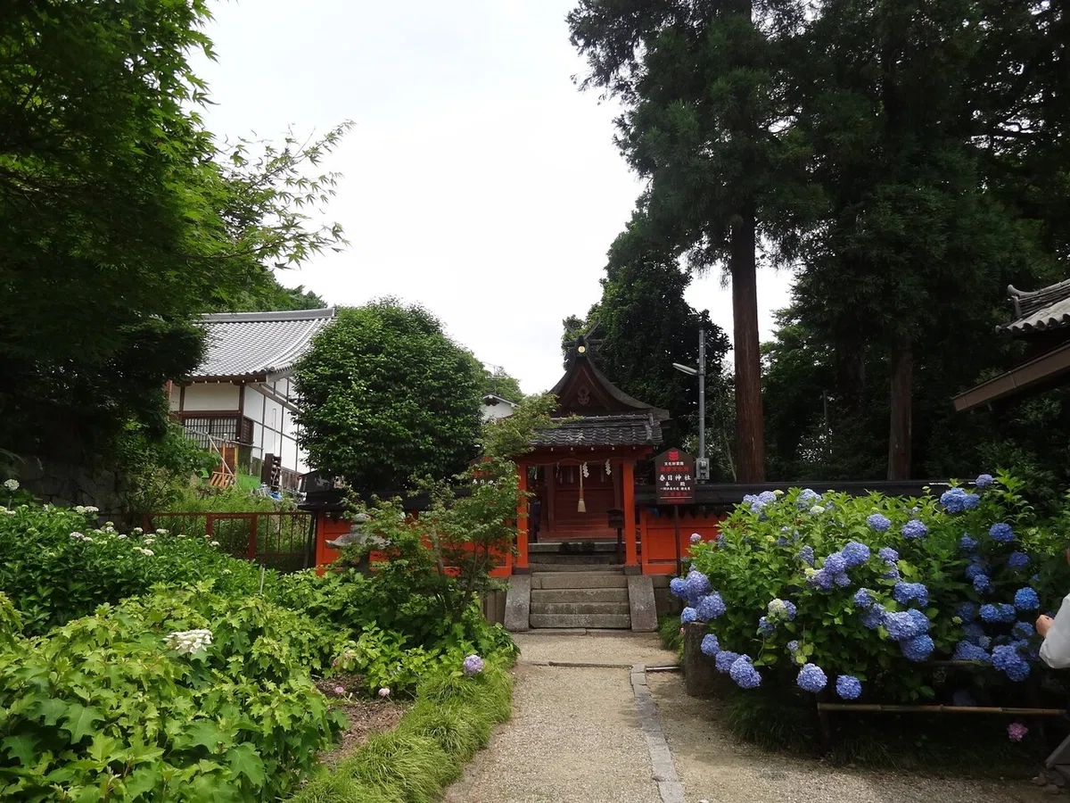 画像33