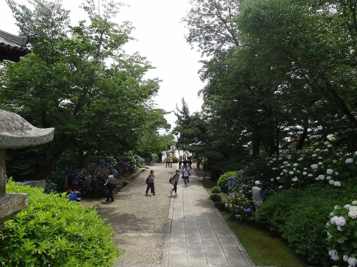 画像35