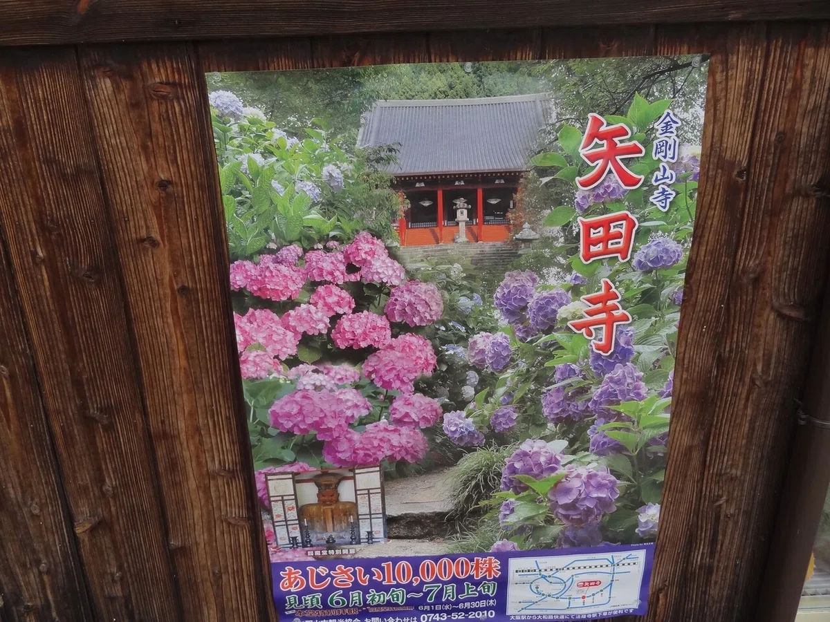 画像36