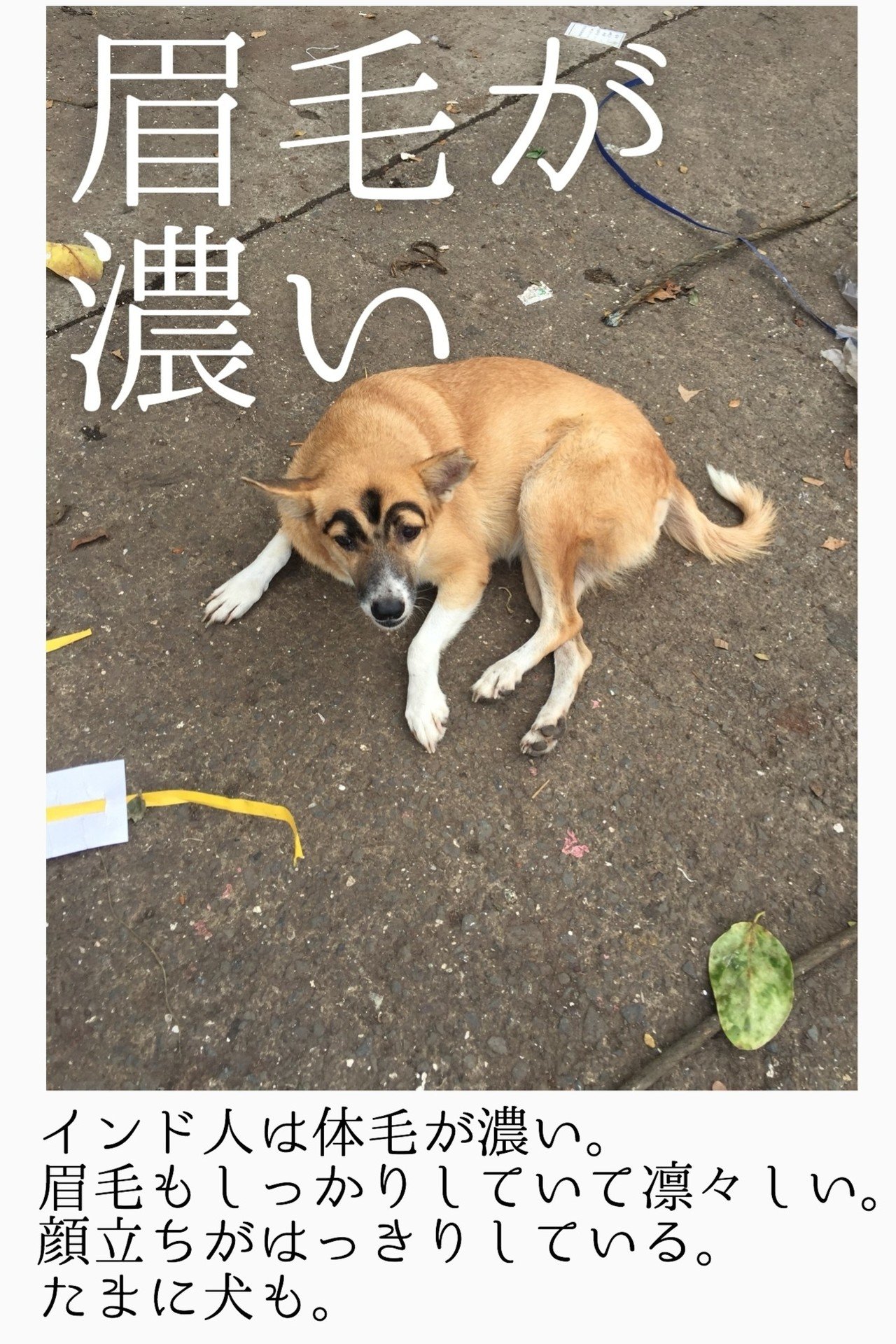 眉毛が濃い 今日ヤバイ奴に会った Note