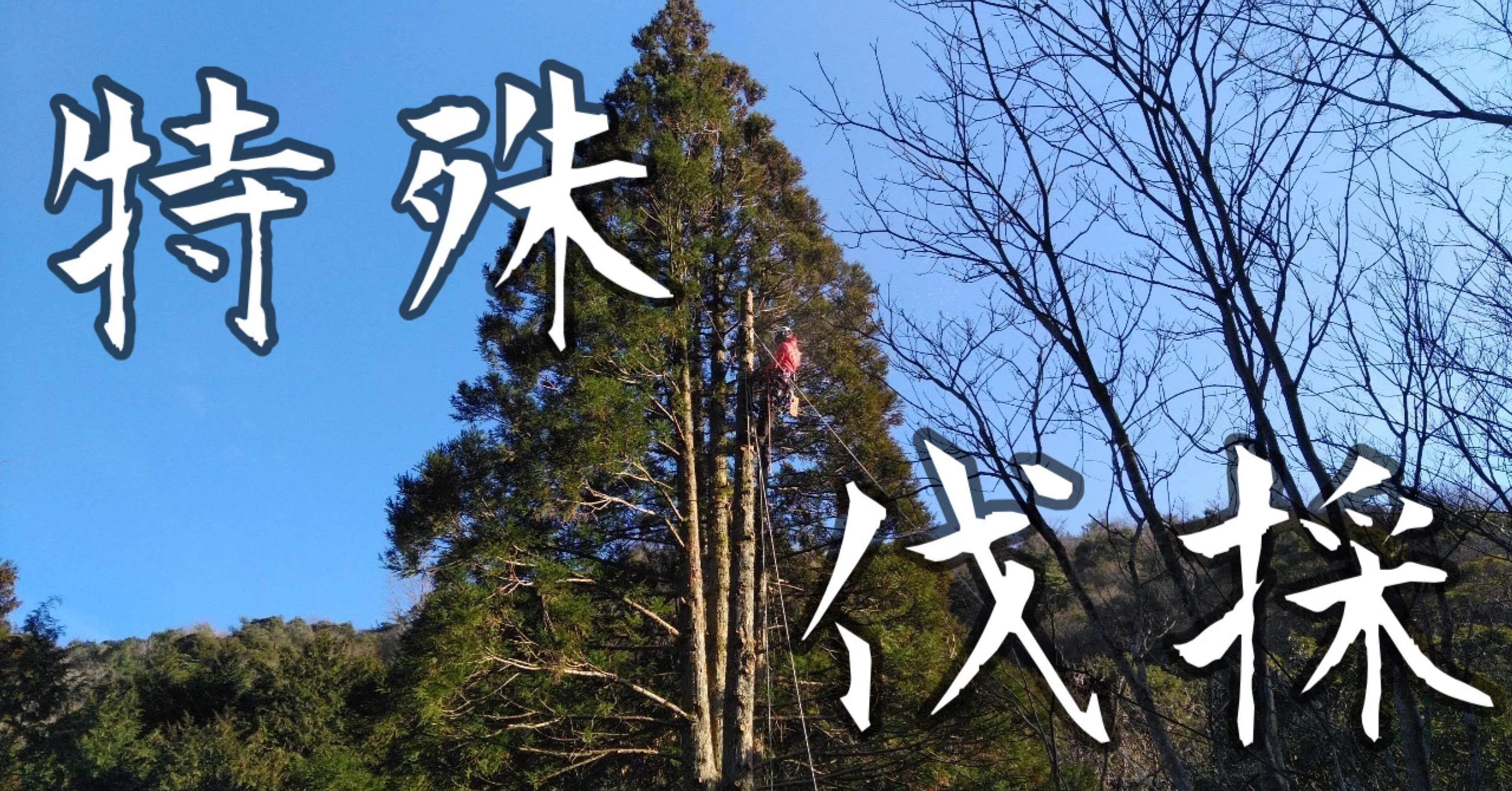 特殊伐採で使う道具｜阿武町地域おこし協力隊ー自伐型林業