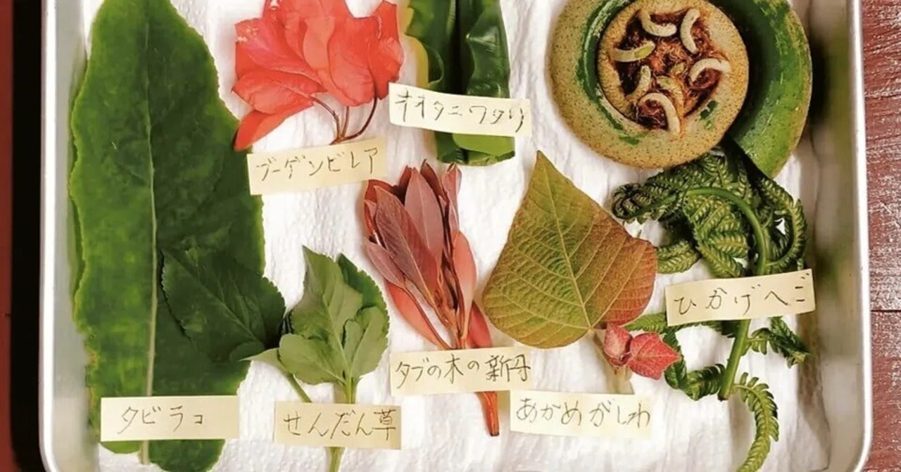 沖縄の薬草百科 【公式通販】
