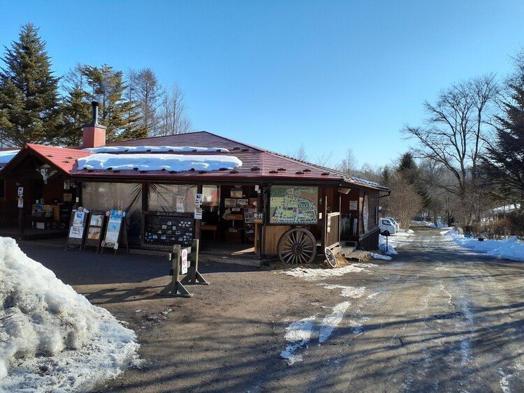 快晴。今日は穏やかな天気に恵まれそうです。日中の気温は6℃まで上がる予報ですが、夜は-3℃まで下がります。暖かい服装でお越しください。