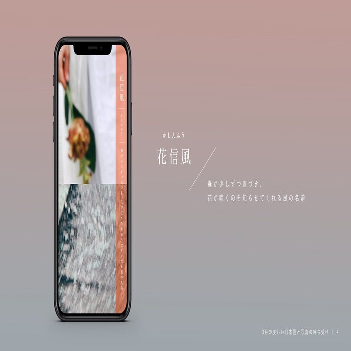毎月配信 春を心待つための 美しい花の言葉と写真の待ち受け 古性のち Note