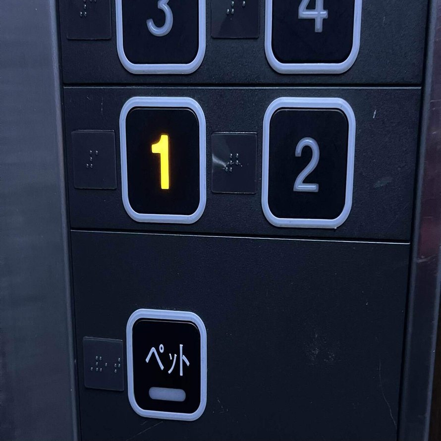 407 初体験 エレベーターの ペットボタン って何 ともゆき 連続投稿359日目 Note