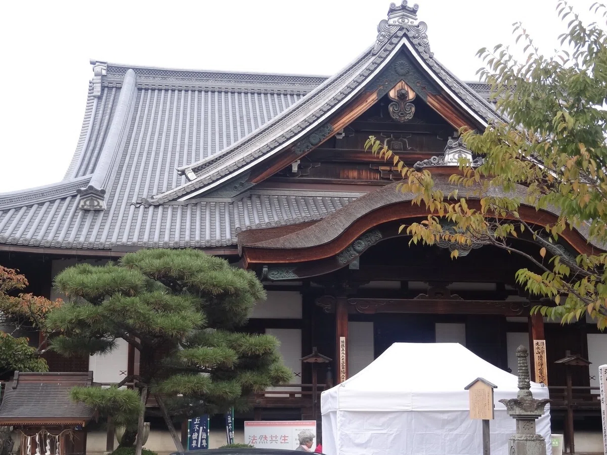 画像6