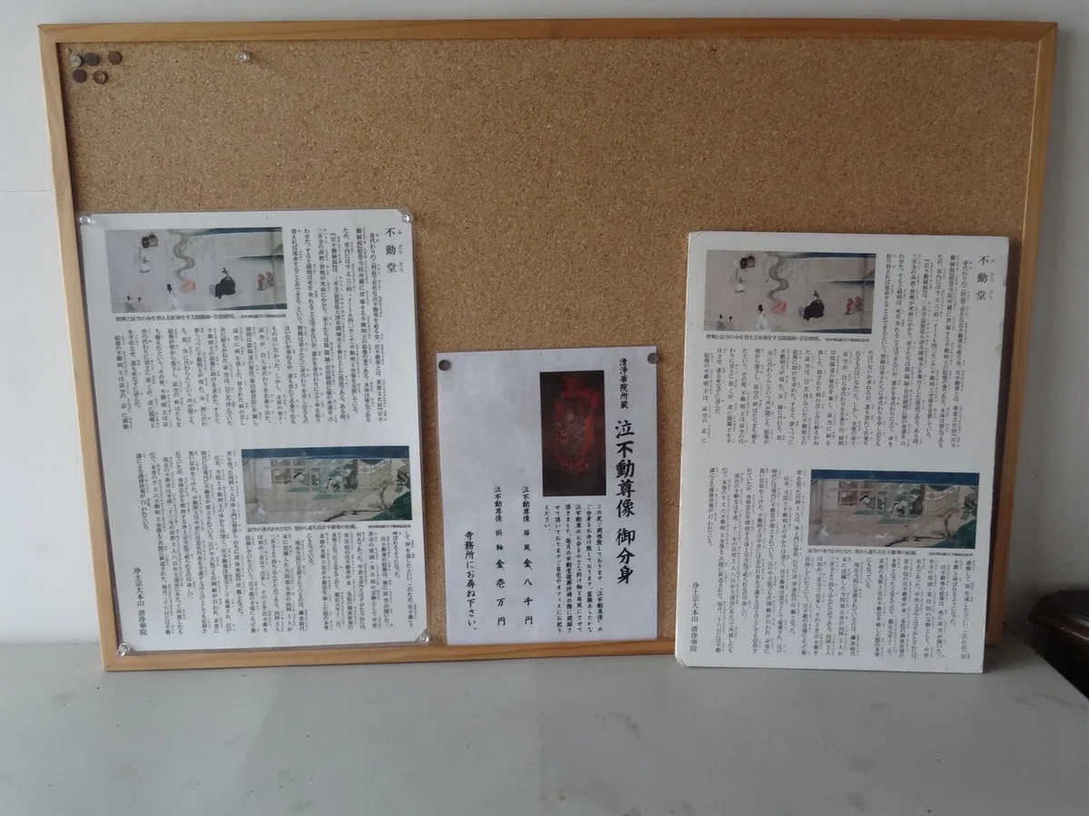 画像7