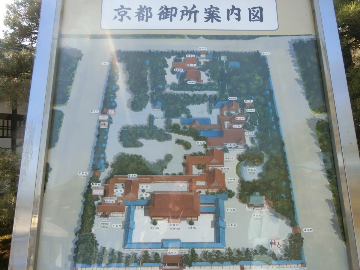 画像7