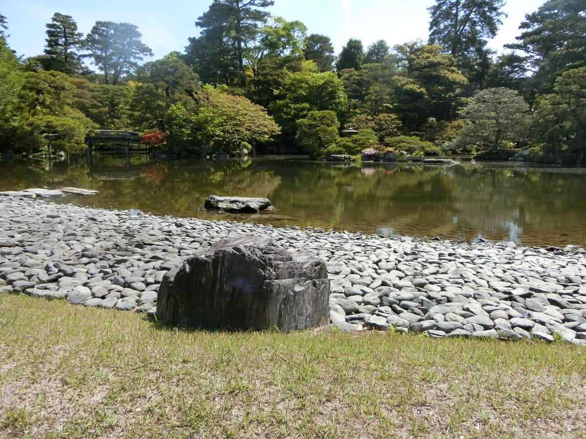 画像20