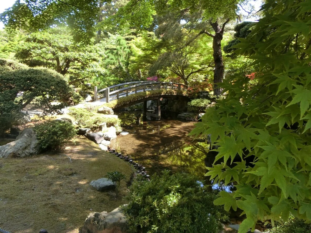 画像26