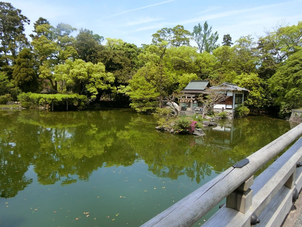 画像41