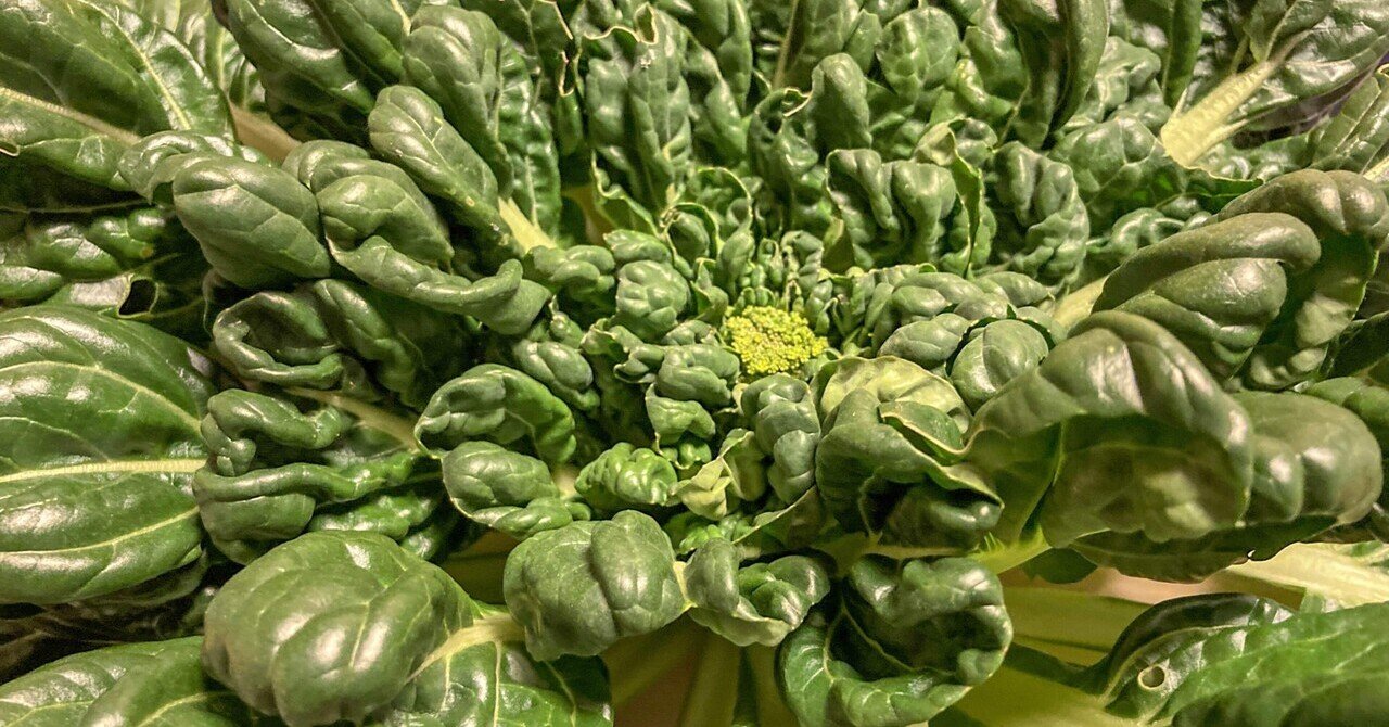 ご近所からのいただき野菜 採れたてターサイのおひたしが美味しかった ぶぜんノート 地方移住日記 Note