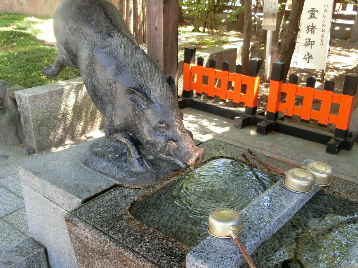 画像5