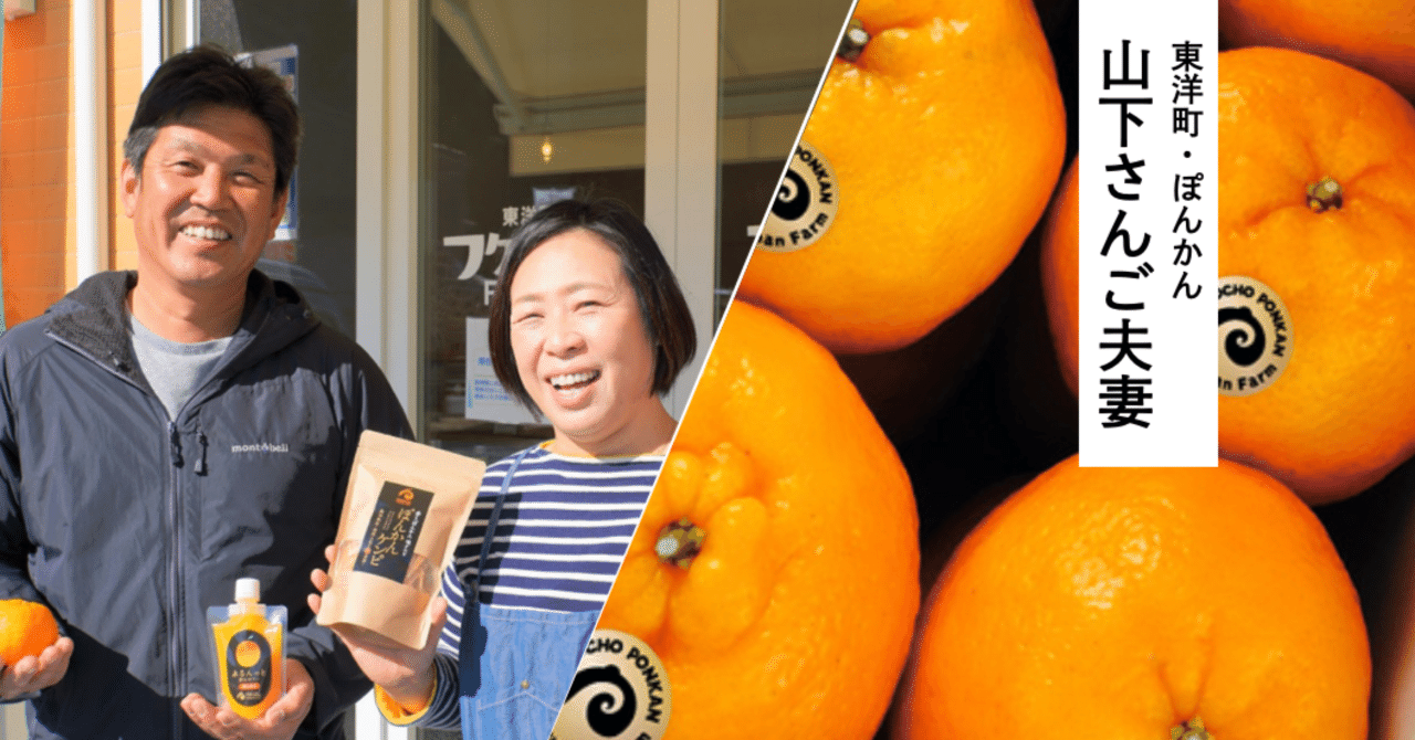 東洋町のために 活躍するポンカン農家 Founding Selection Note 東洋町のために 活躍するポンカン農家 Founding Selection Note